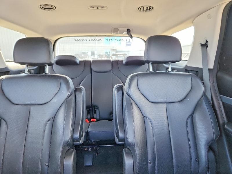 2020 HYUNDAI PALISADE SEL 10