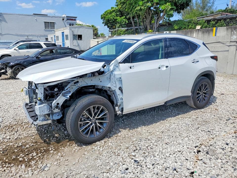 2025 LEXUS NX 250 BASE - 1