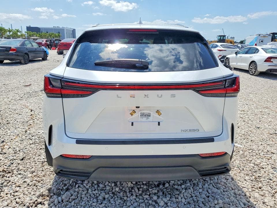 2025 LEXUS NX 250 BASE 6