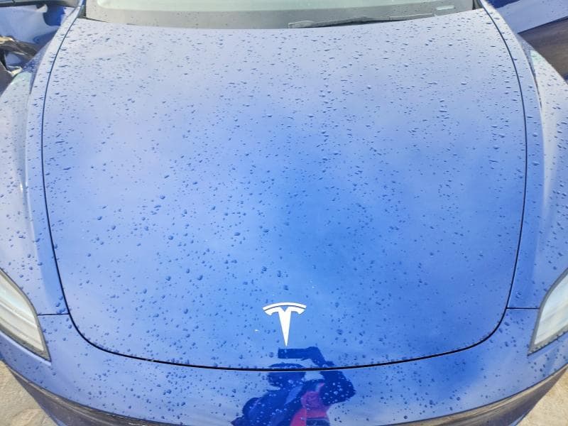2025 TESLA MODEL 3 11
