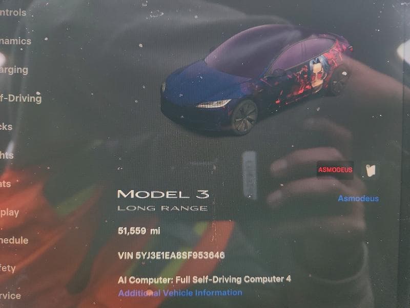 2025 TESLA MODEL 3 9