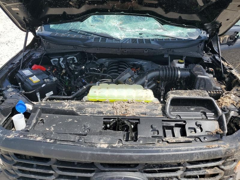 2025 FORD F150 XL 11