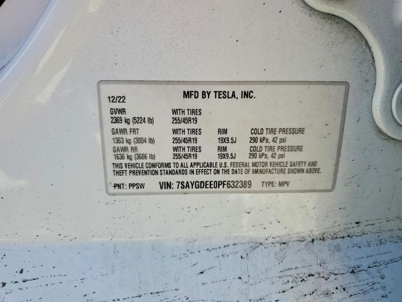 2023 TESLA MODEL Y 13