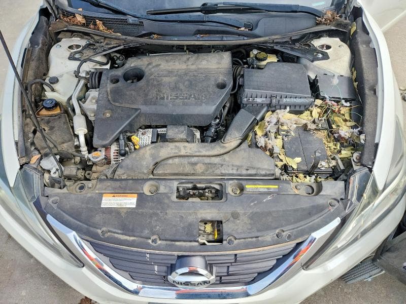 2016 NISSAN ALTIMA 2.5 SL 2.5 SL 11