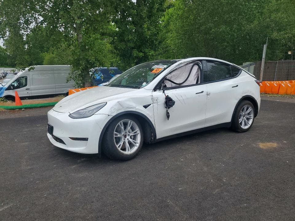 2021 TESLA MODEL Y 1