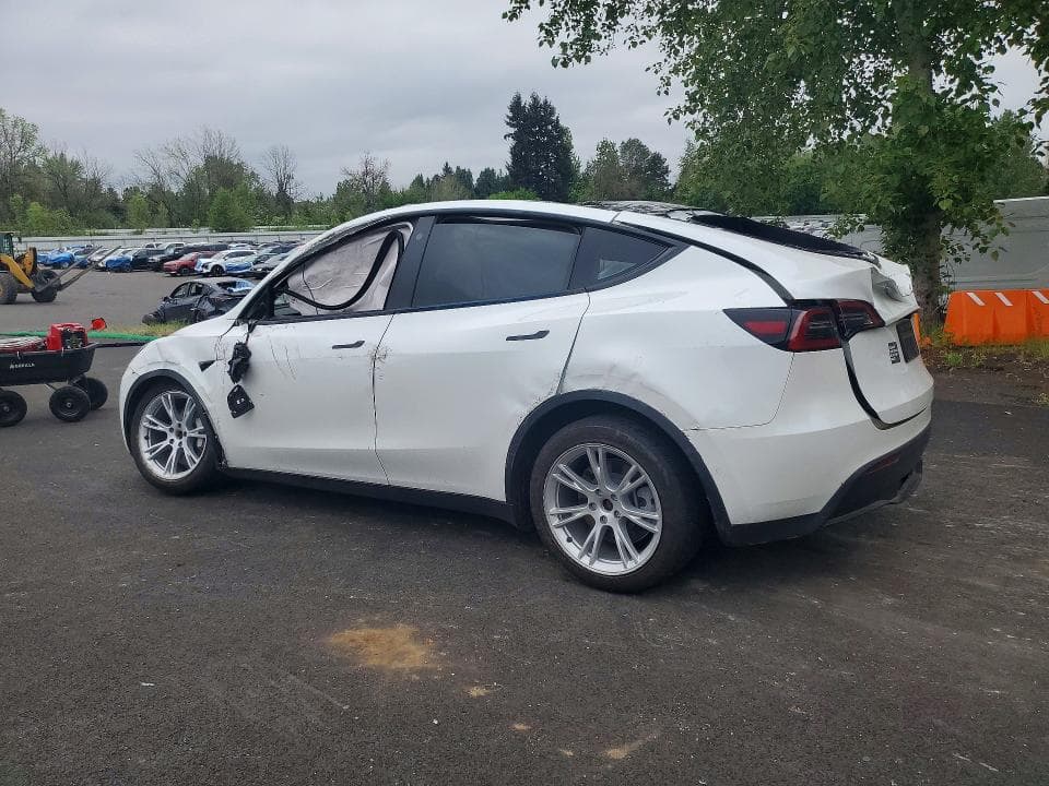 2021 TESLA MODEL Y 2