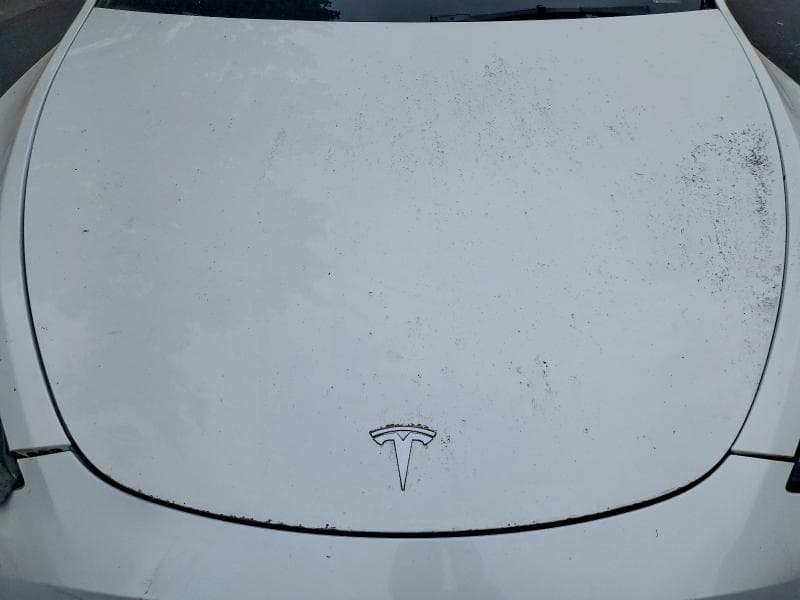 2021 TESLA MODEL Y 11