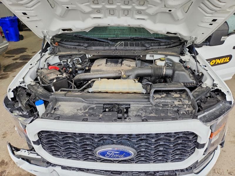 2023 FORD F150 SUPERCREW 11