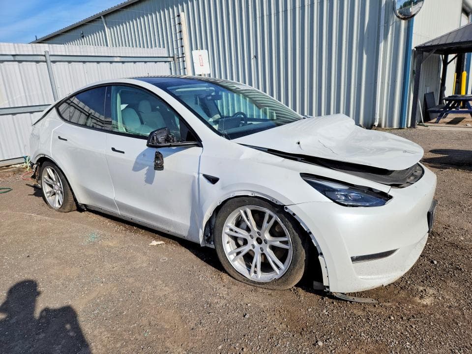 2023 TESLA MODEL Y 4