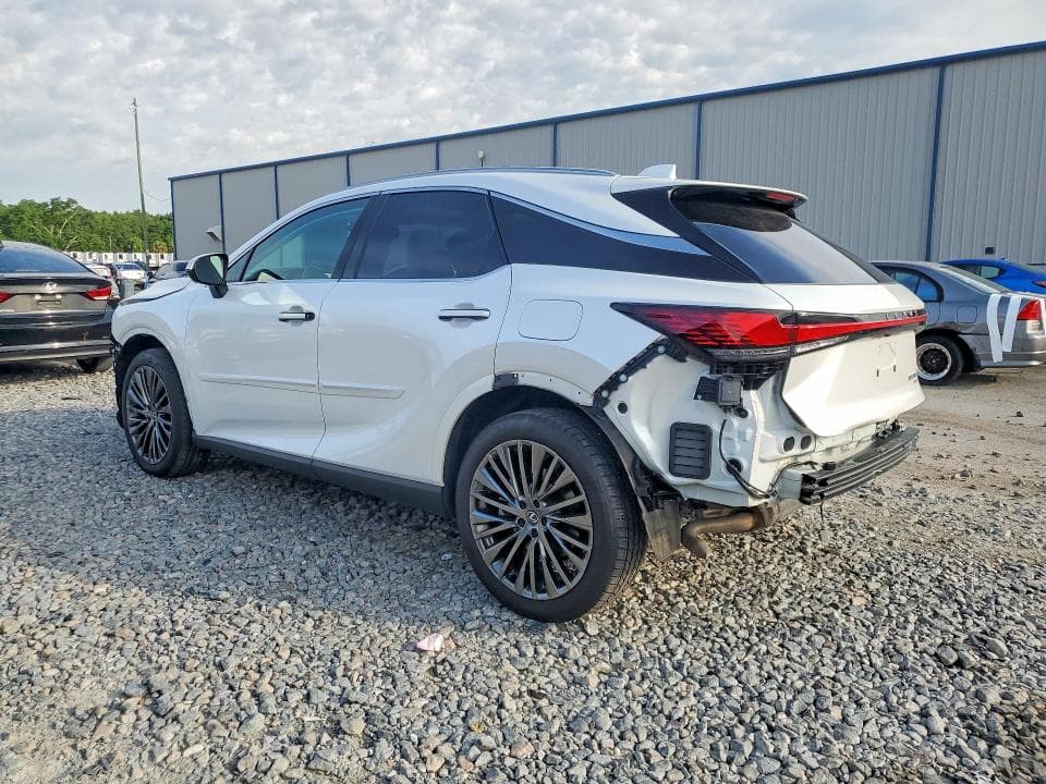 2025 LEXUS RX 350 LUXURY 2