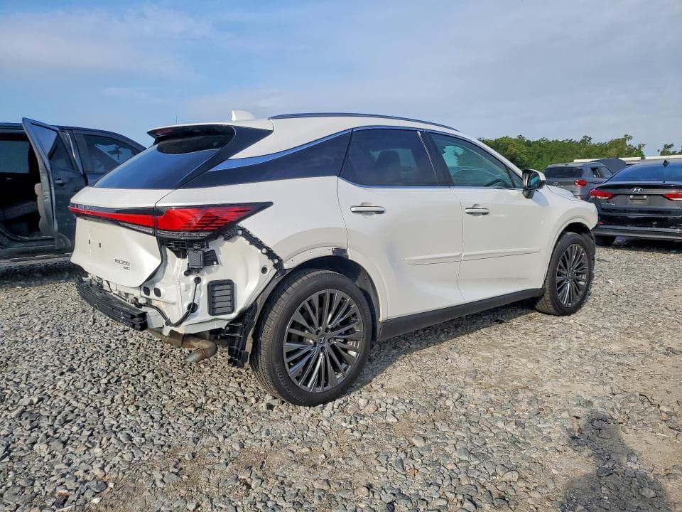 2025 LEXUS RX 350 LUXURY 3