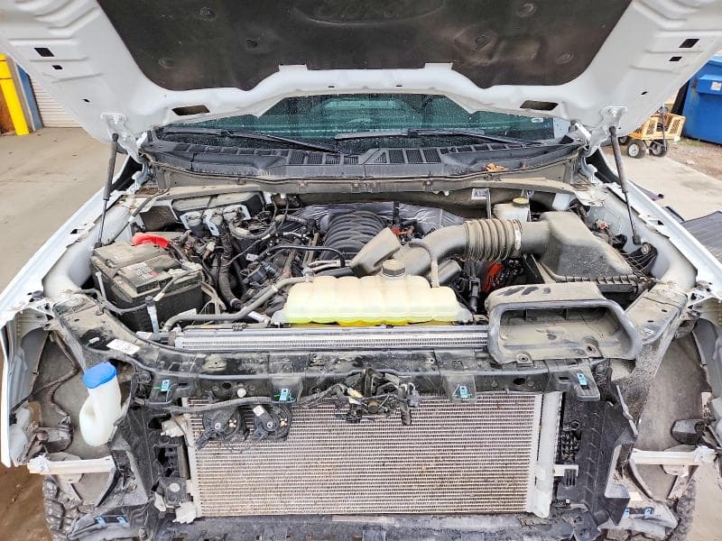 2024 FORD F150 XLT XLT 11