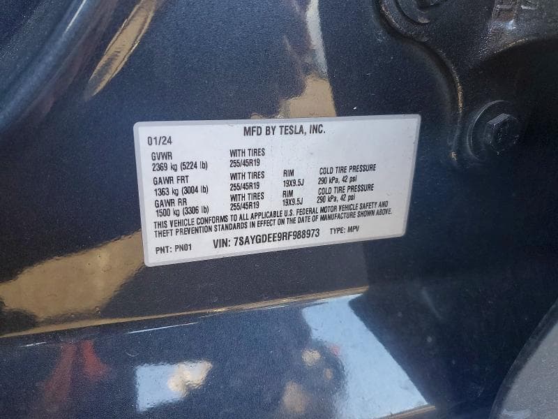 2024 TESLA MODEL Y 12