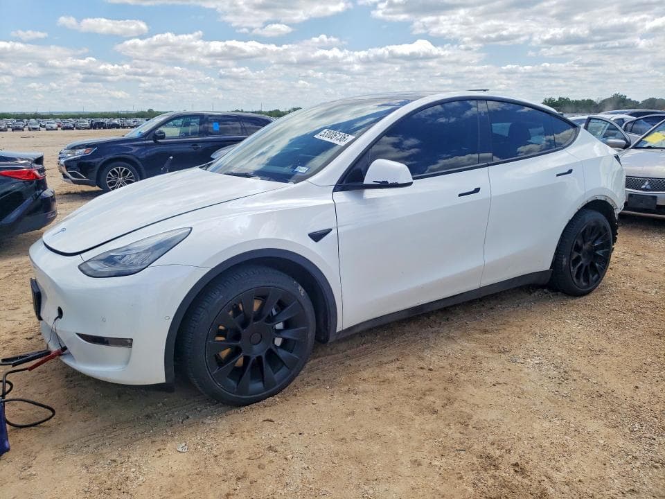 2021 TESLA MODEL Y 1