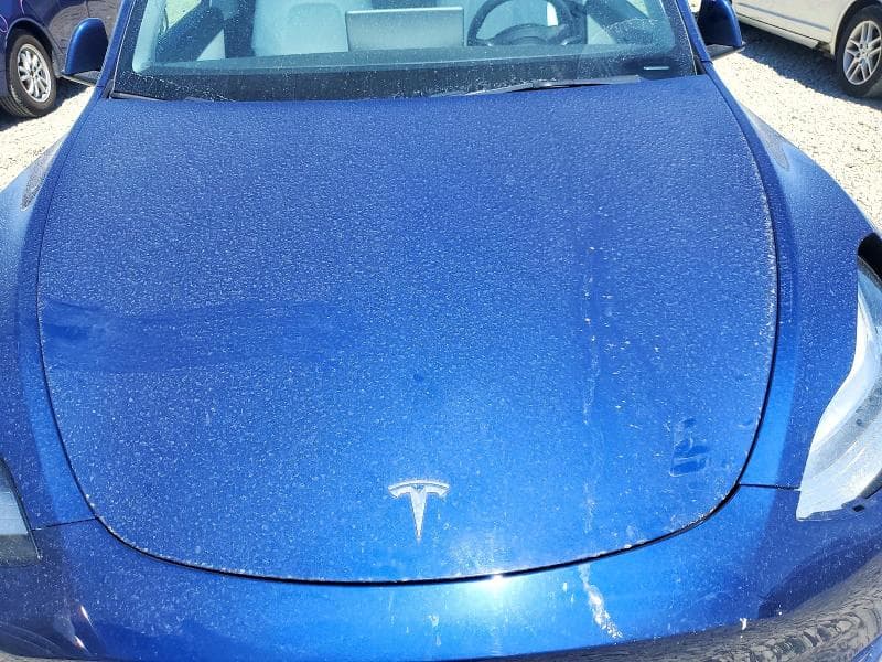 2022 TESLA MODEL Y 12