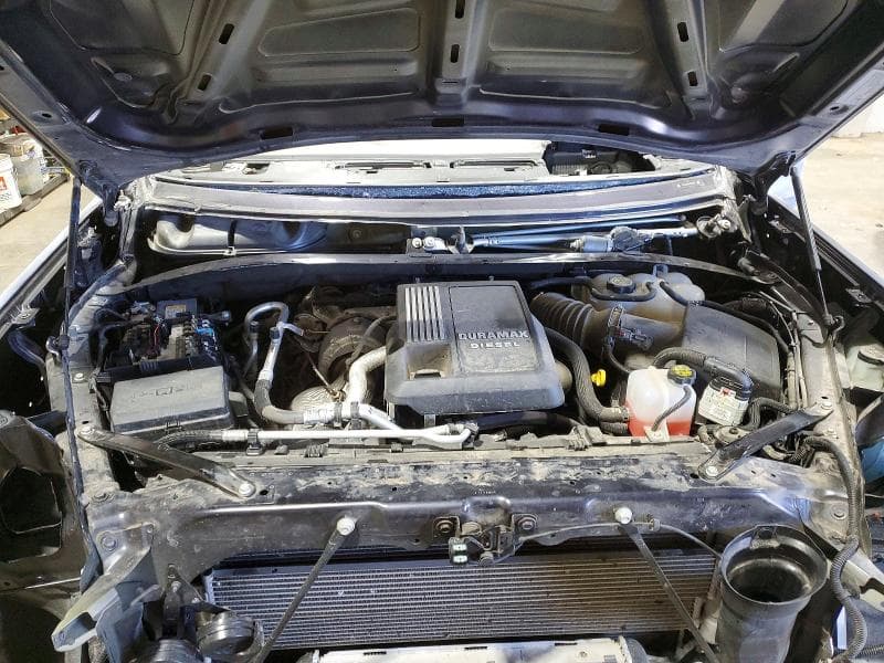 2024 GMC SIERRA K1500 ELEVATION K1500 ELEVATION 11