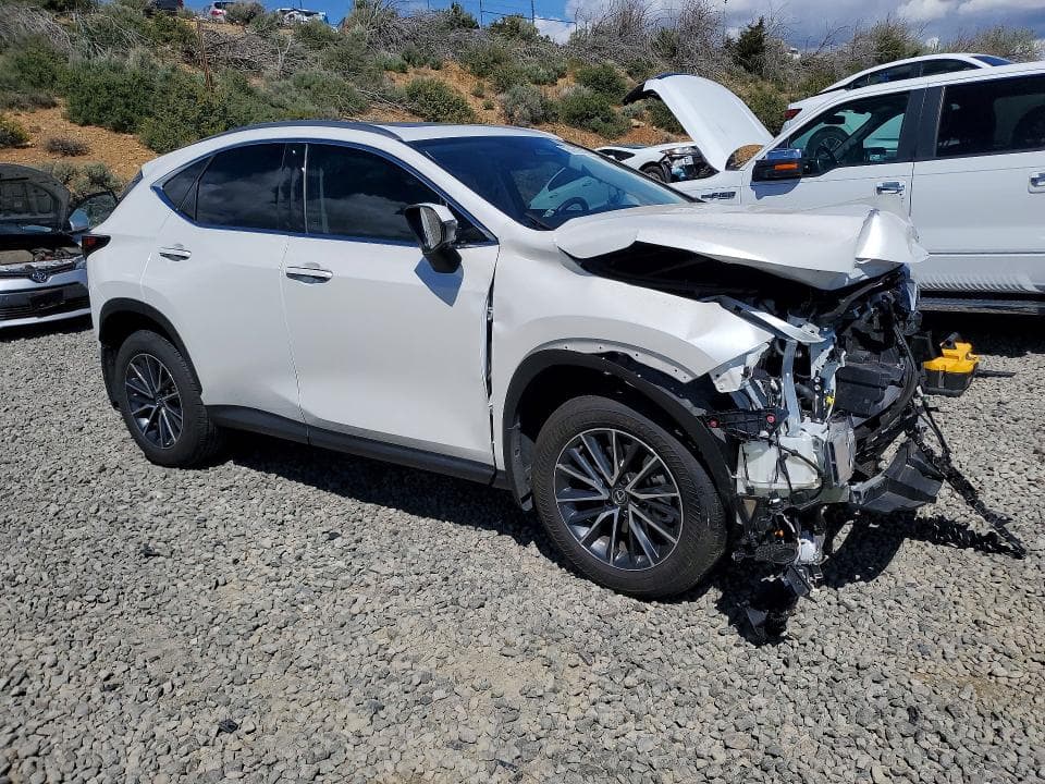 2025 LEXUS NX 350 PREMIUM 350 PREMIUM 4