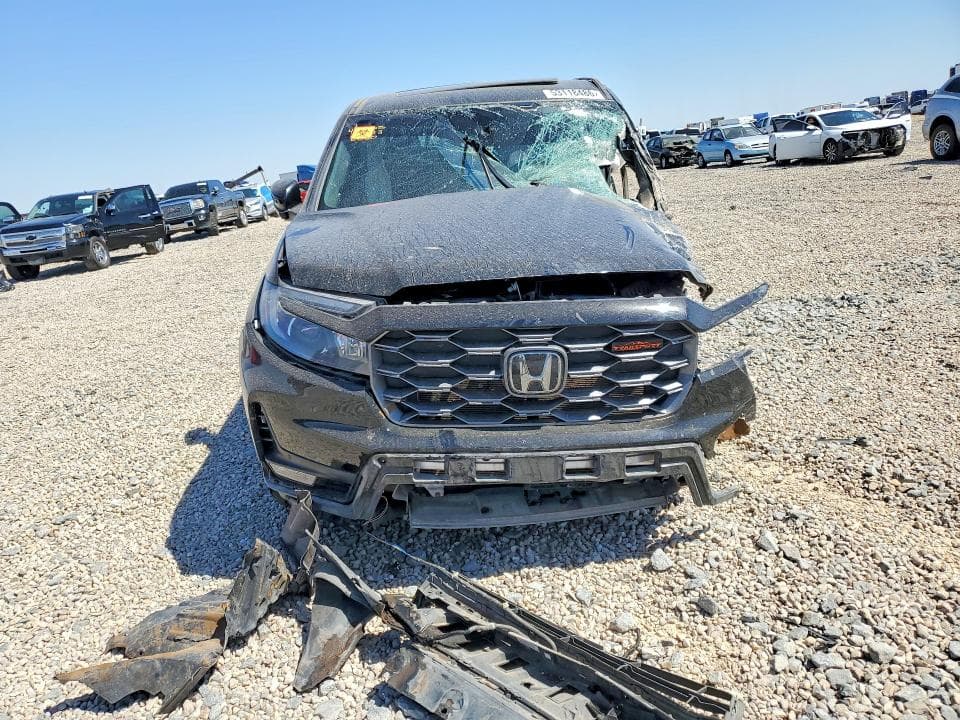 2024 HONDA RIDGELINE TRAIL SPORT 5