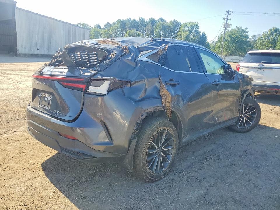 2022 LEXUS NX 350 3