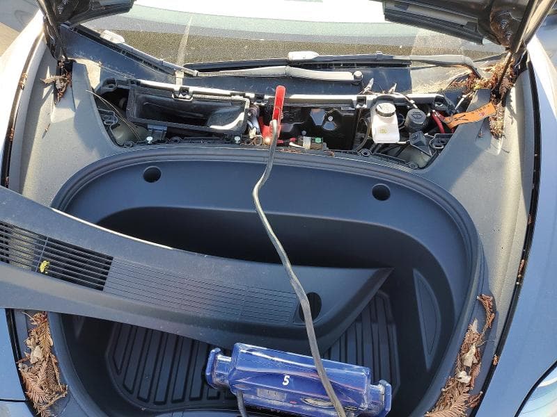 2022 TESLA MODEL 3 11