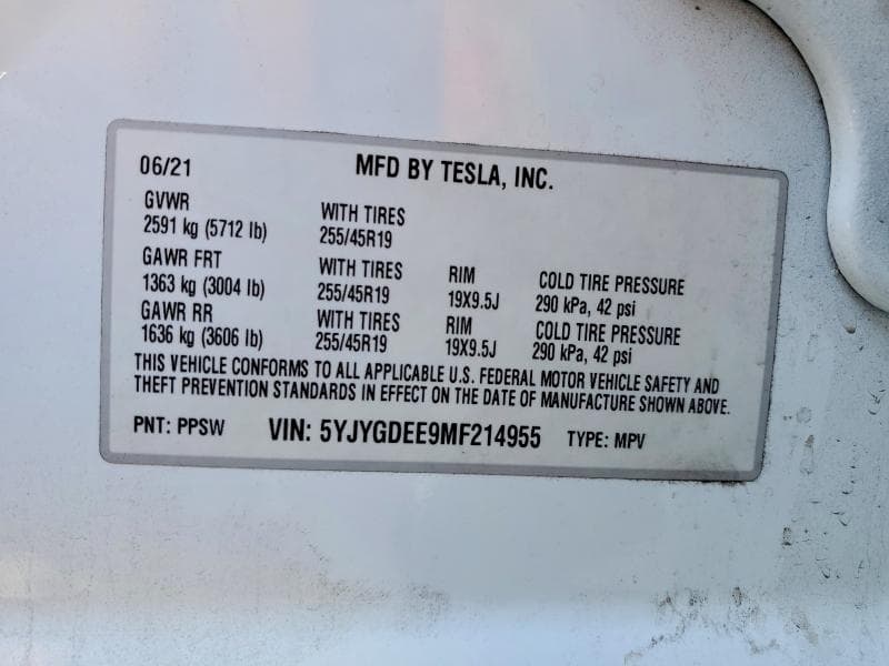 2021 TESLA MODEL Y 13