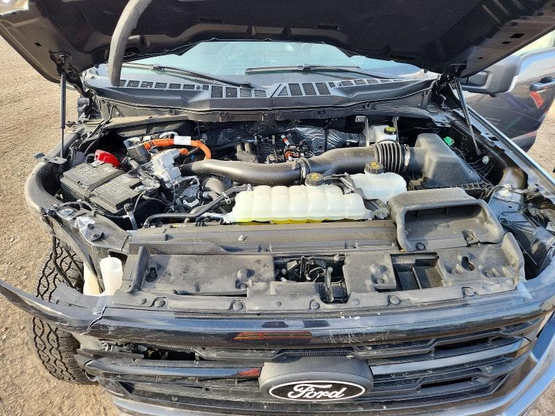 2025 FORD F150 XLT 11