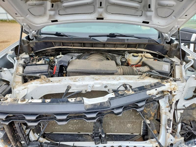 2019 CHEVROLET SILVERADO K1500 K1500 11