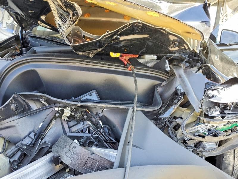 2024 TESLA MODEL Y 11