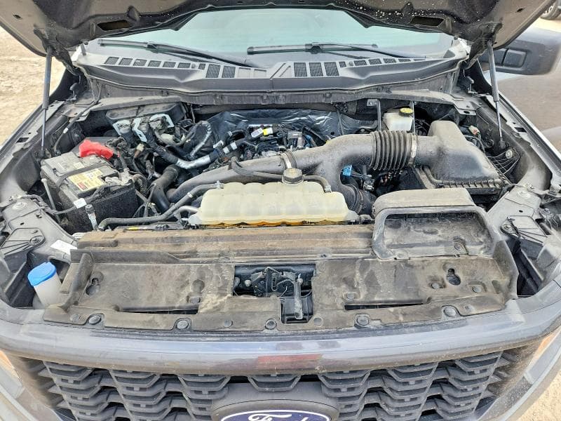 2024 FORD F150 STX 11