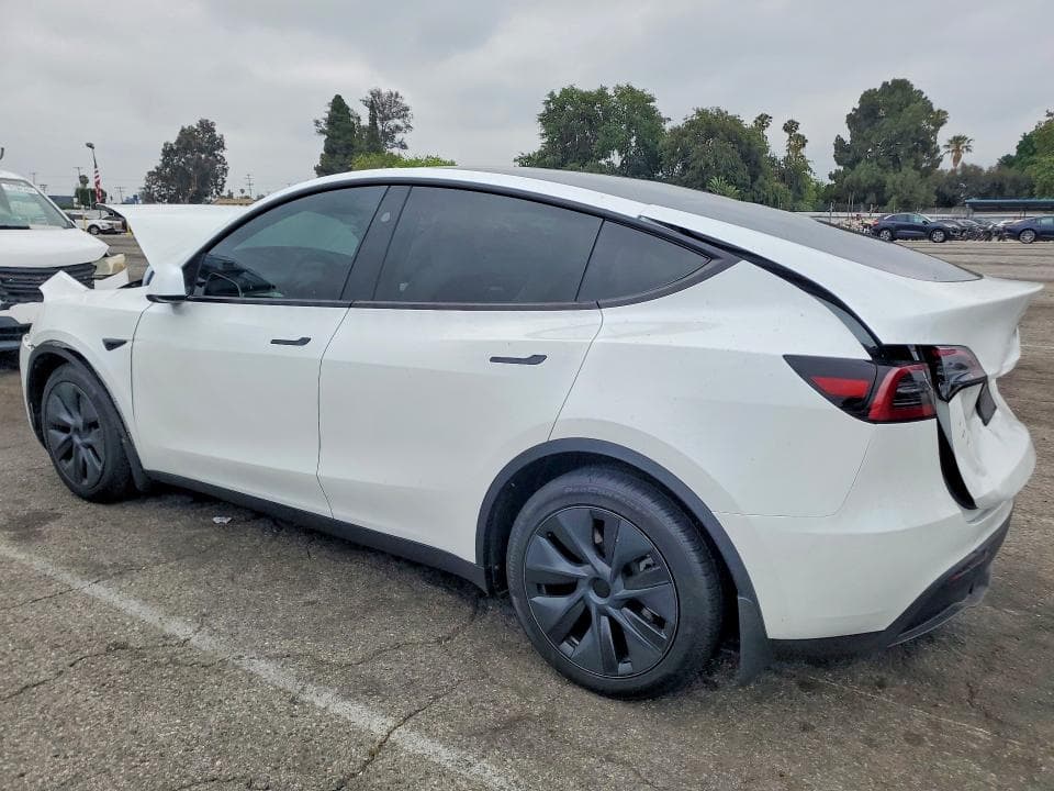 2024 TESLA MODEL Y 2