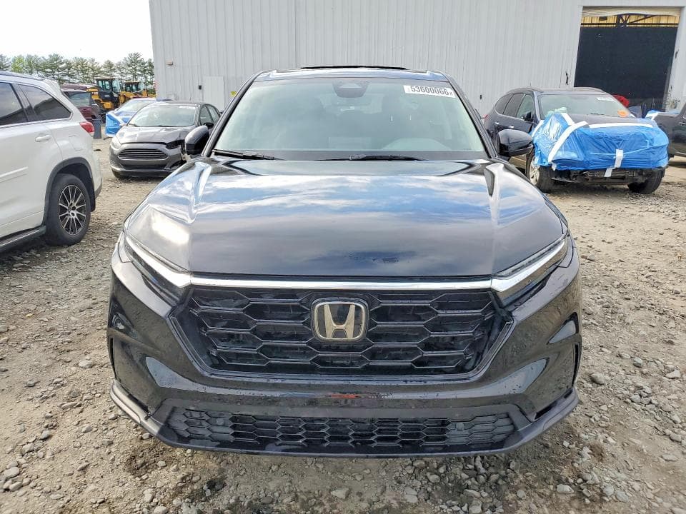 2026 HONDA CR-V EXL EXL 5