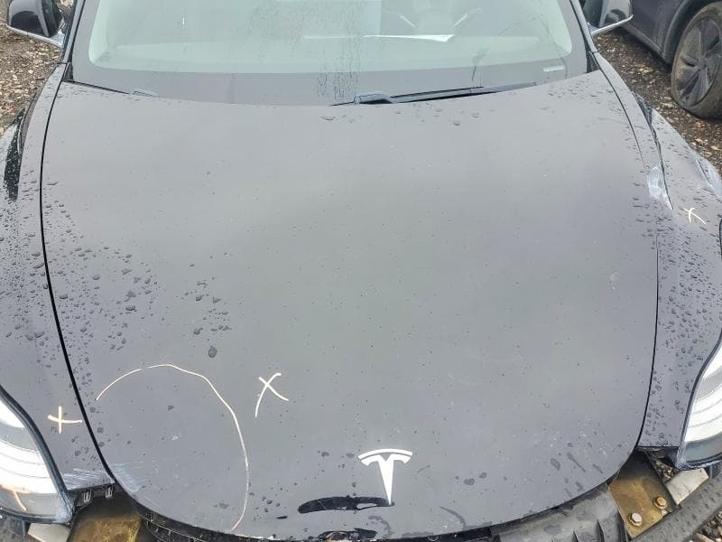 2019 TESLA MODEL 3 11