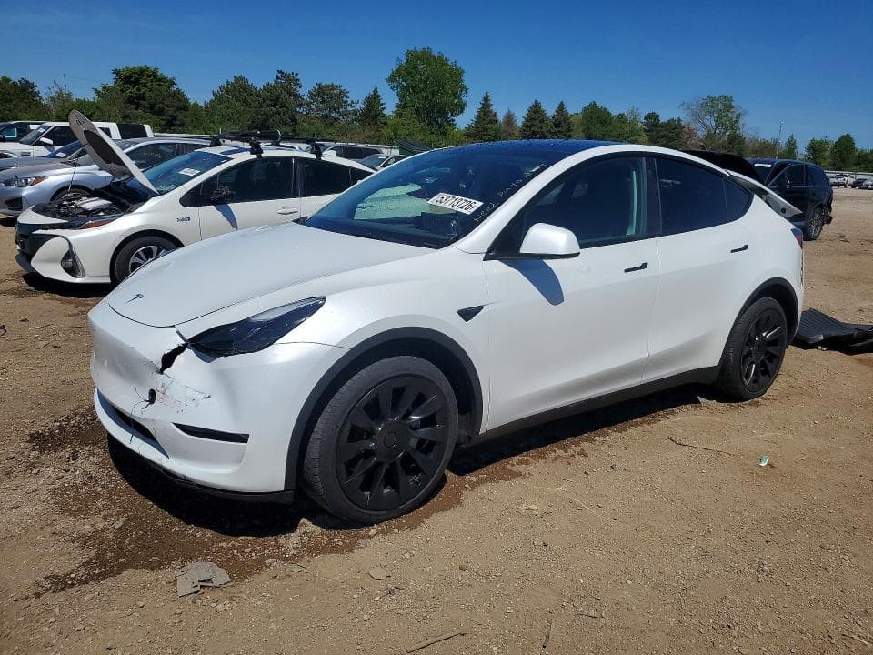 2023 TESLA MODEL Y 1