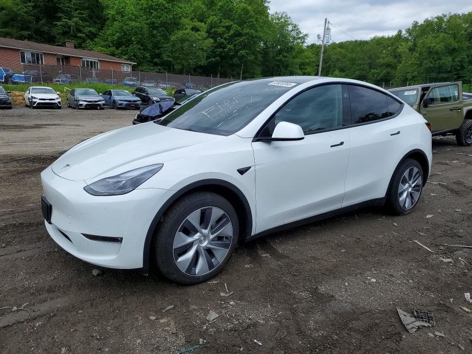 2024 TESLA MODEL Y 1