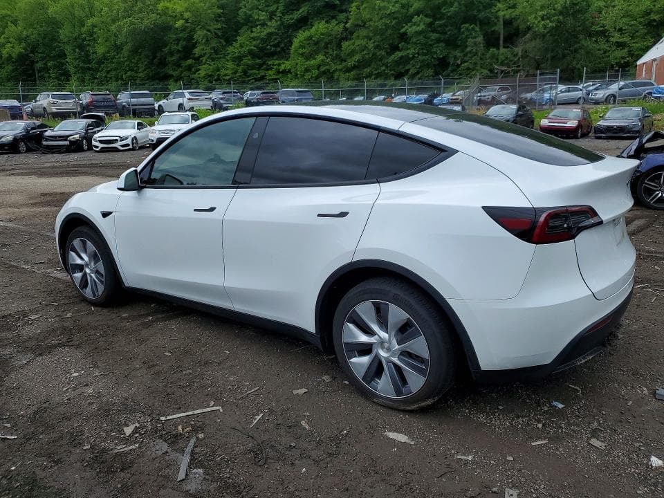 2024 TESLA MODEL Y 2