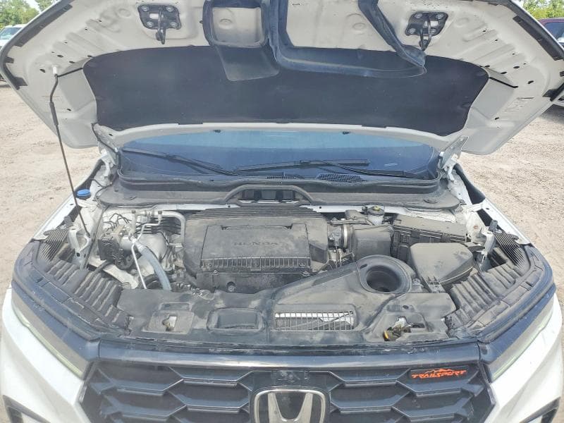 2025 HONDA PILOT TRAILSPORT 12