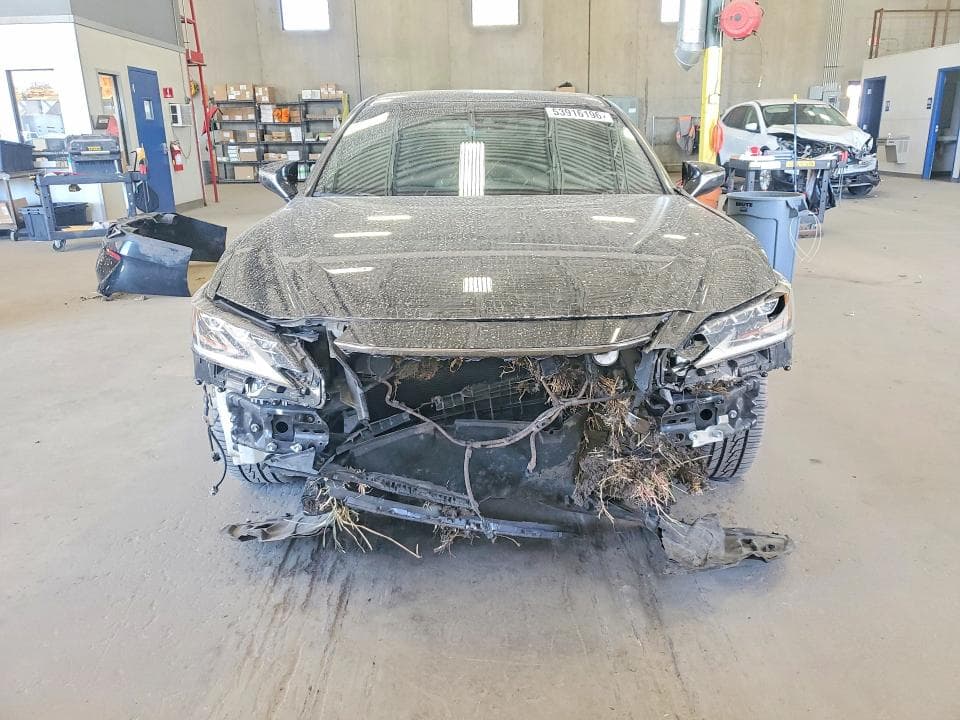 2019 LEXUS ES 350 5