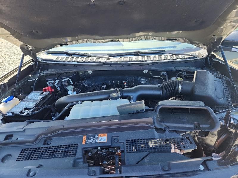 2025 FORD EXPEDITION TREMOR 12