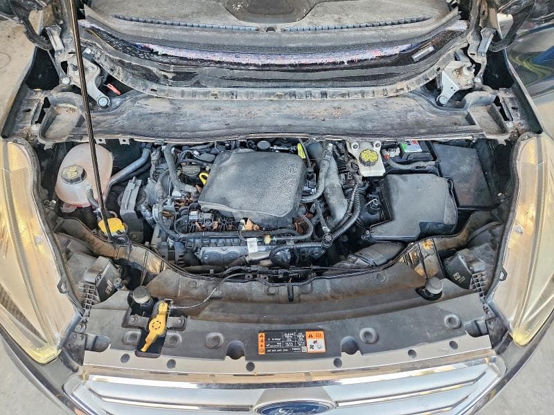 2019 FORD ESCAPE SEL 11