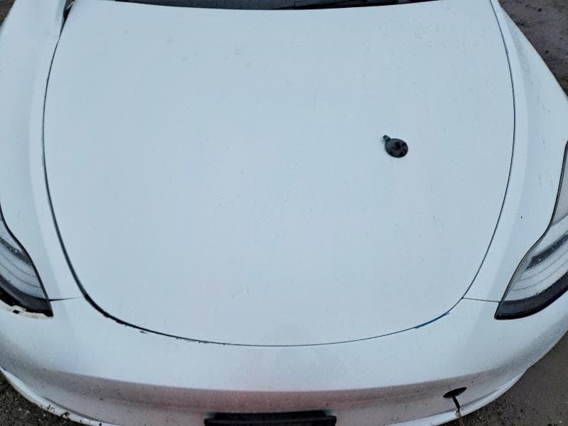 2022 TESLA MODEL Y 11