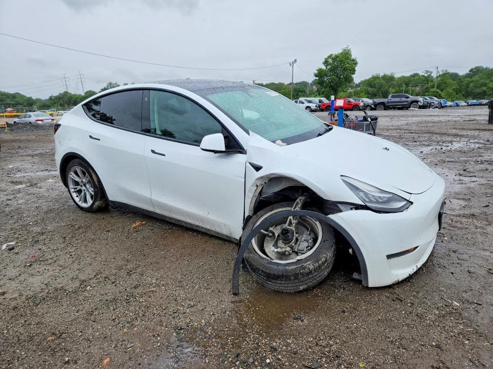 2022 TESLA MODEL Y 4