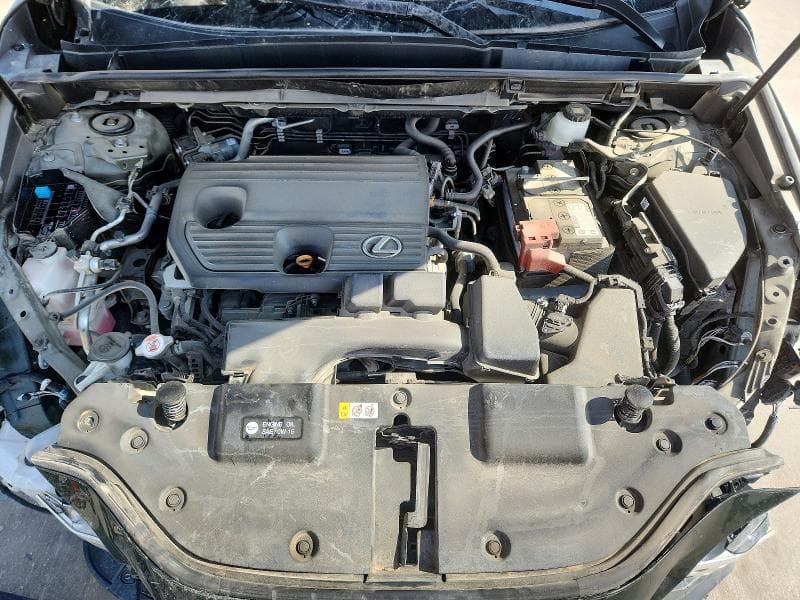 2025 LEXUS NX 250 PREMIUM 250 PREMIUM 11