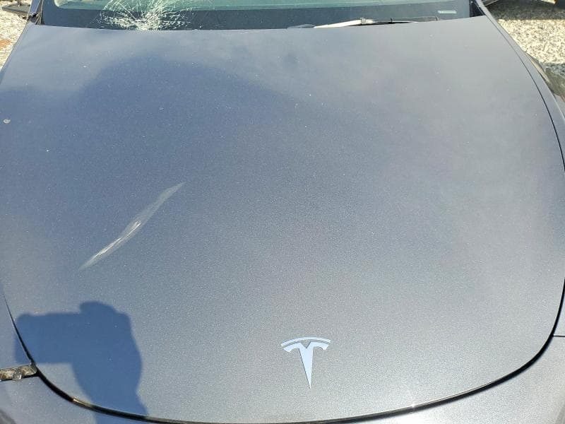 2023 TESLA MODEL Y 11