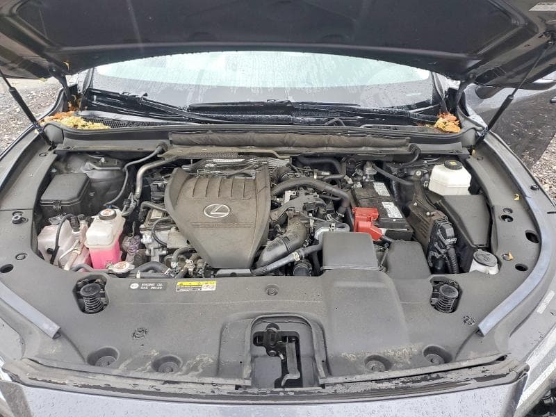 2024 LEXUS RX 350 PREMIUM 12