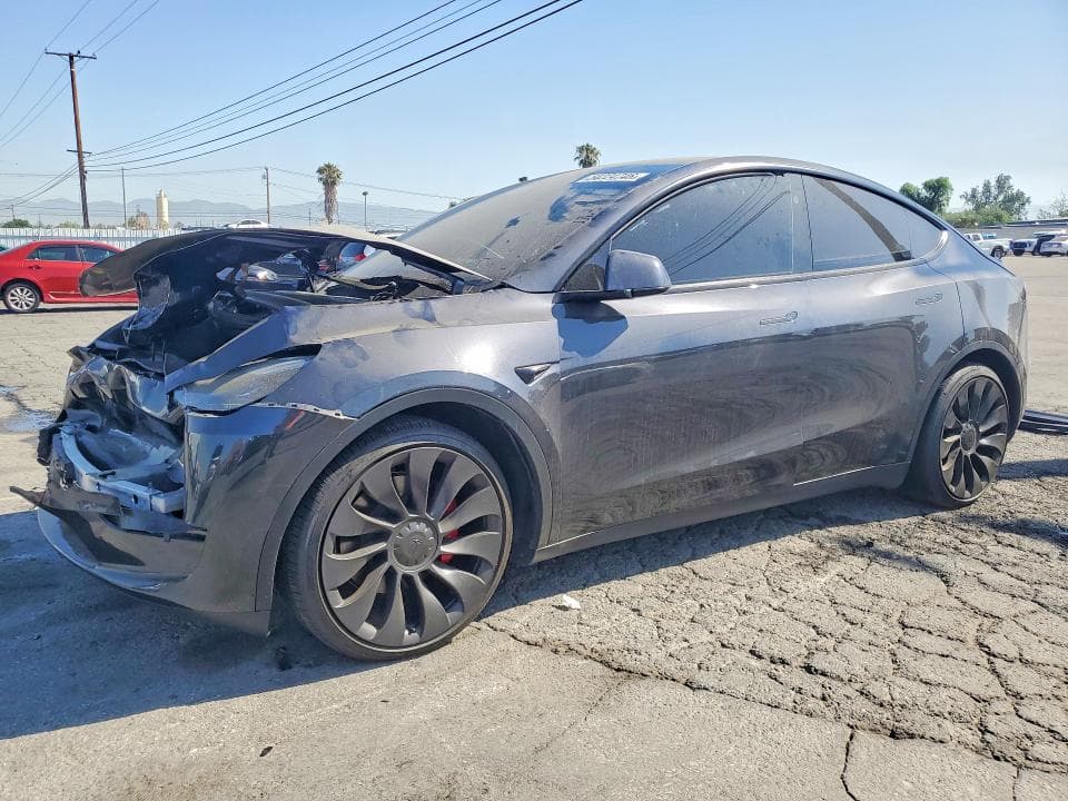 2025 TESLA MODEL Y - 1