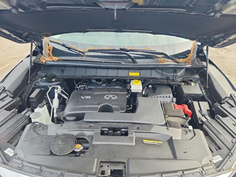 2024 INFINITI QX60 PURE 12