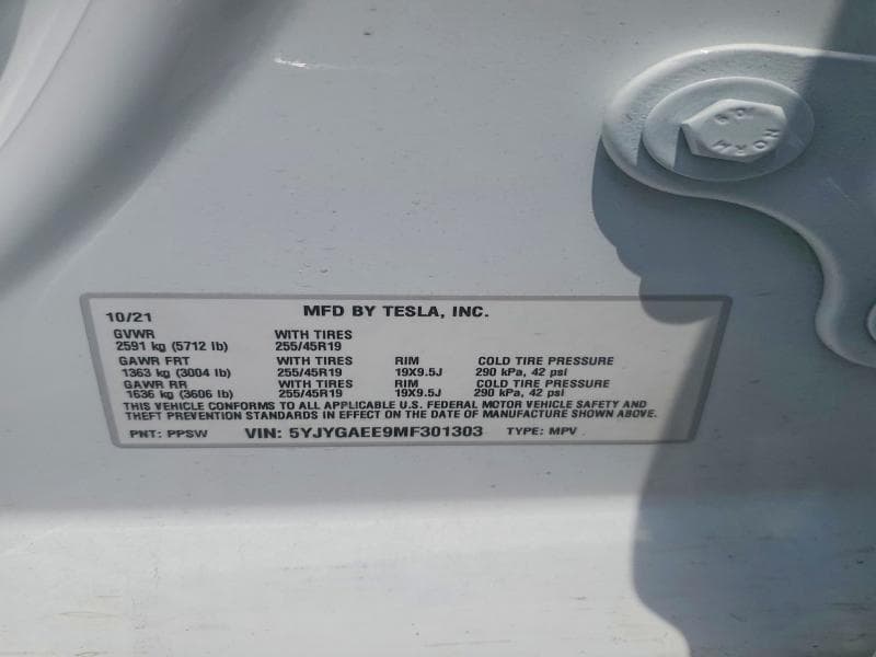 2021 TESLA MODEL Y 12