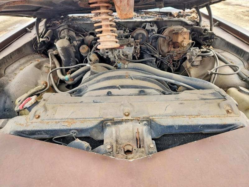 1979 CHEVROLET CAMARO BERLINETTA BERLINETTA 12