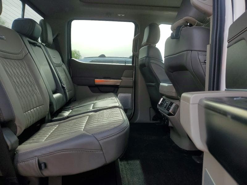 2024 FORD F150 PLATINUM 10