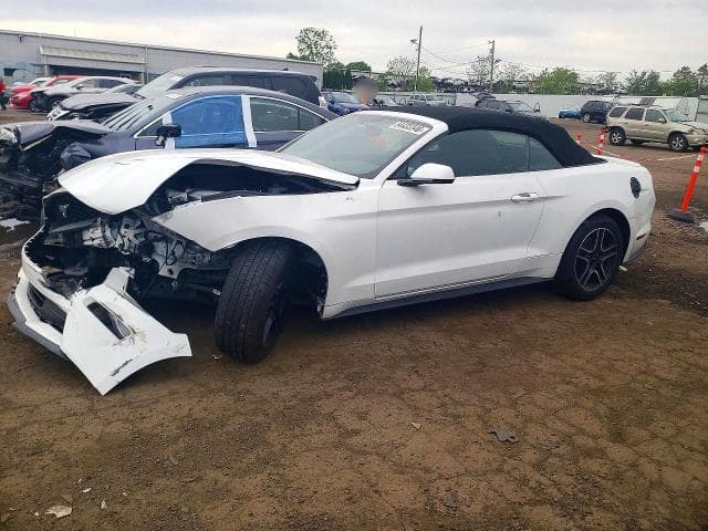 2019 FORD MUSTANG - 1